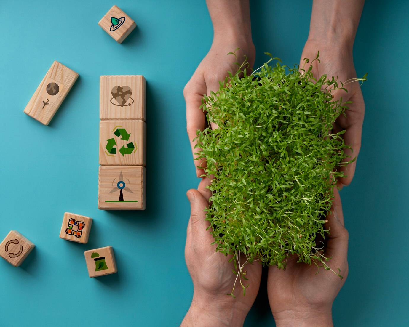 Environmental Initiatives